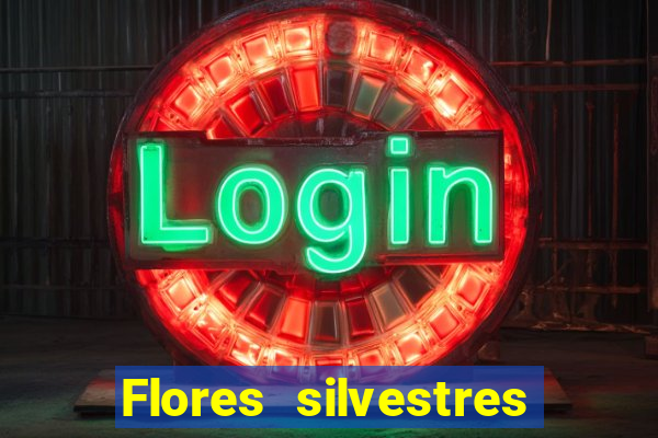 Flores silvestres brasileiras brasileiras flores silvestres nomes e imagens